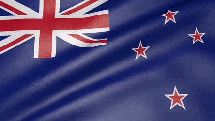 New Zealand Visa online_200314113106.gif